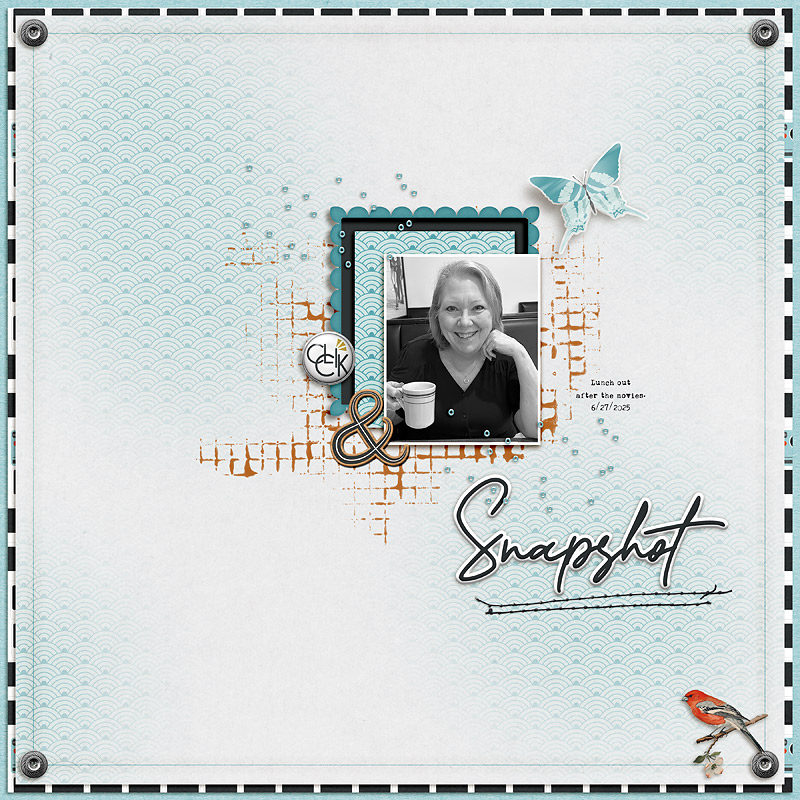 Snapshot