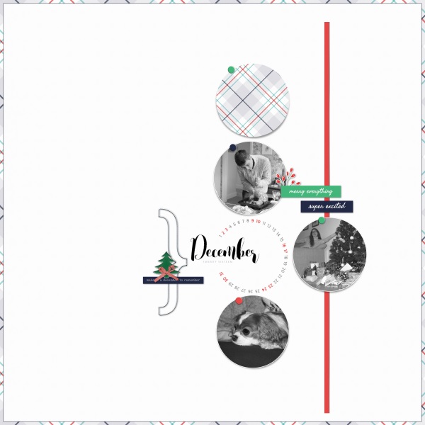 Snapshots Of Christmas