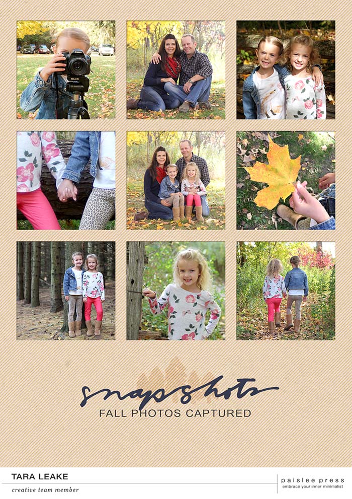 Snapshots Of Fall