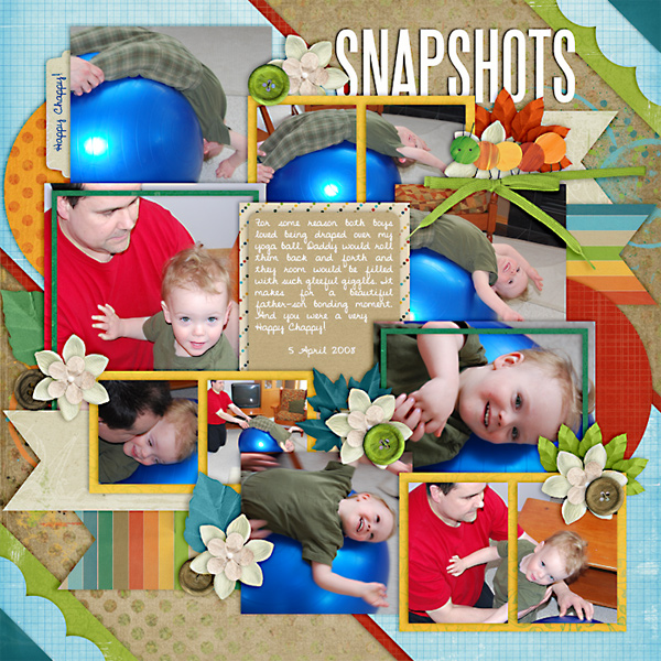 Snapshots