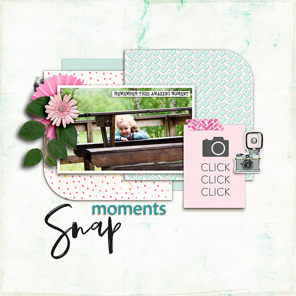 Snapshots