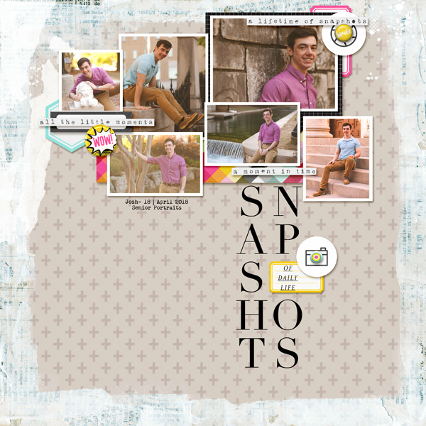 Snapshots