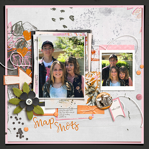 Snapshots