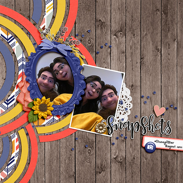 Snapshots