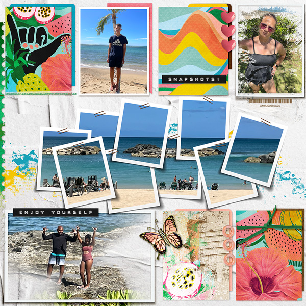 Snapshots