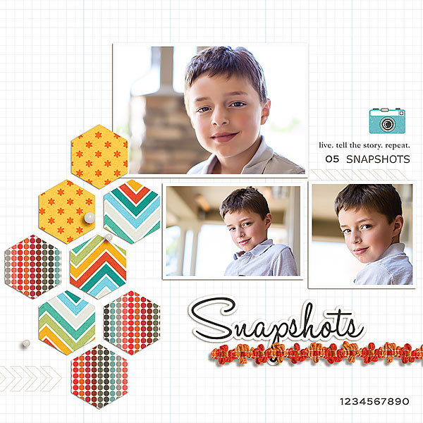 snapshots11