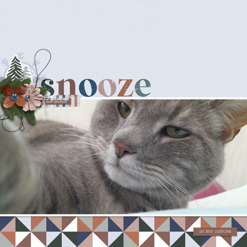 Snooze