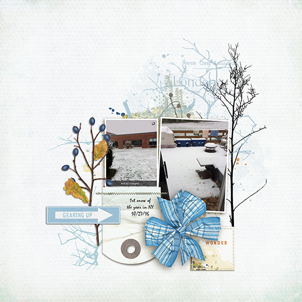 Snow 16