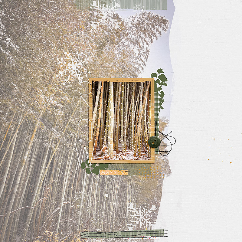 Snow and bamboos
