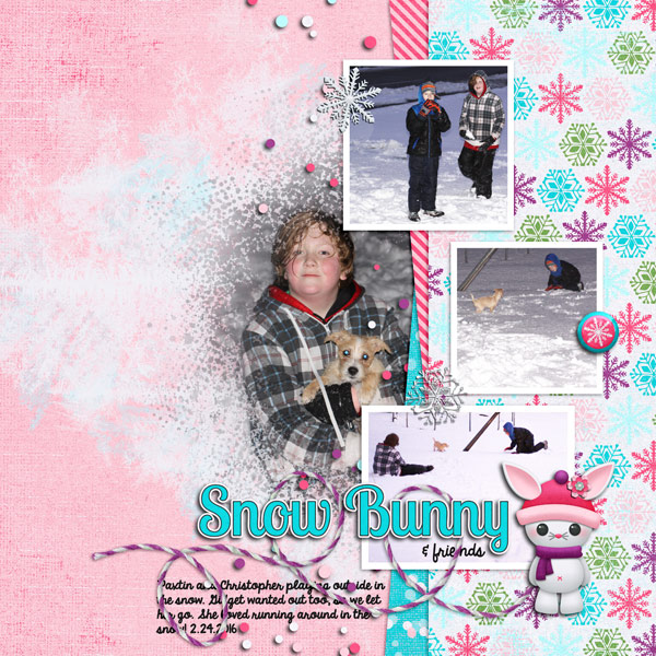 Snow Bunny and friends