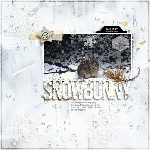 Snow Bunny
