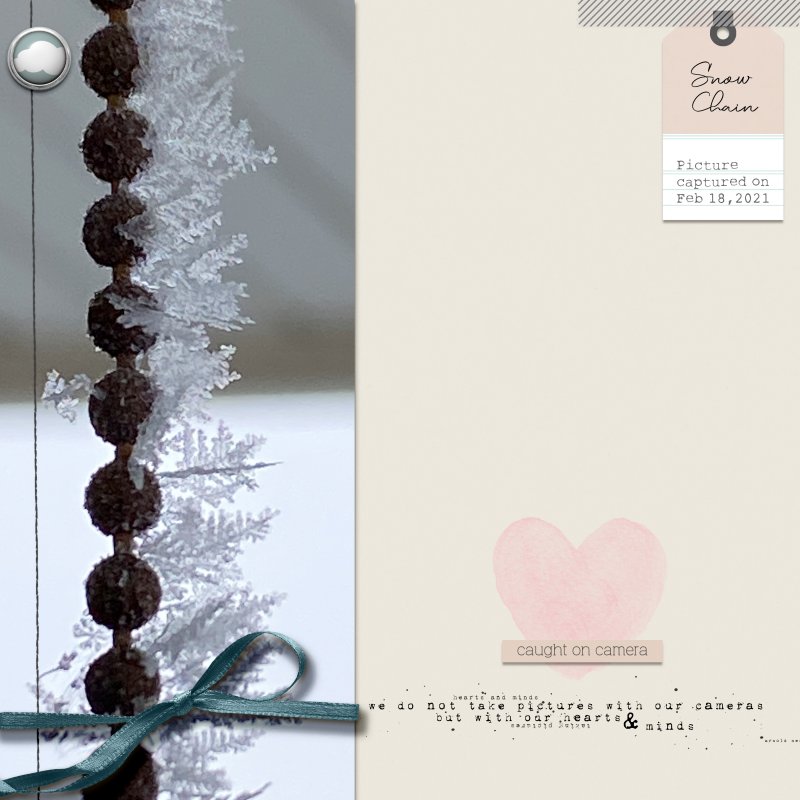 Snow Chain