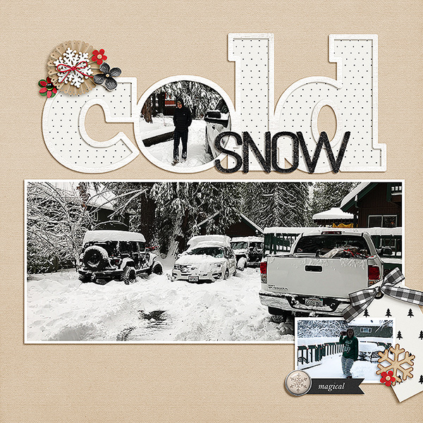 Snow Cold