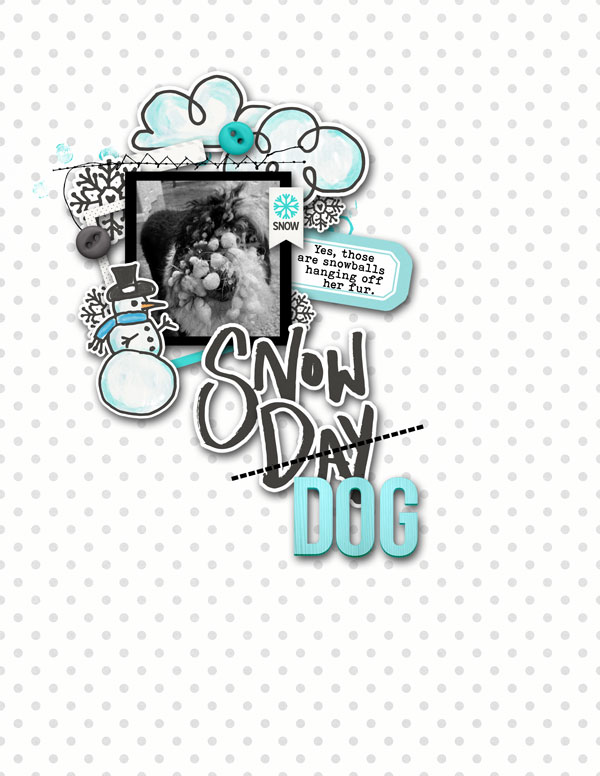 Snow Day...I mean Dog