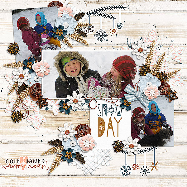 Snow Day
