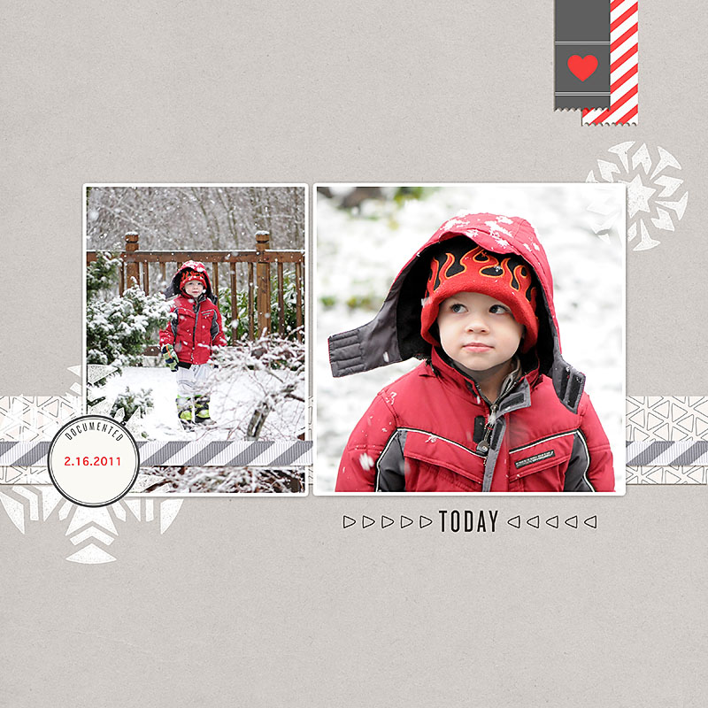 Snow delight 2