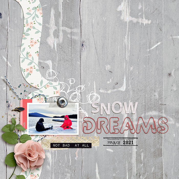 Snow Dreams