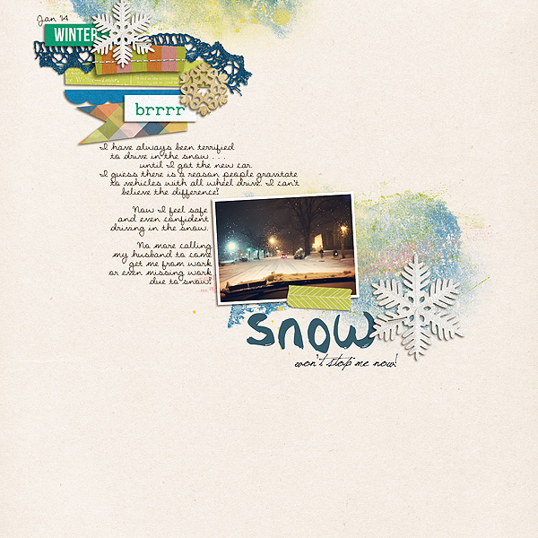 Snow Driving