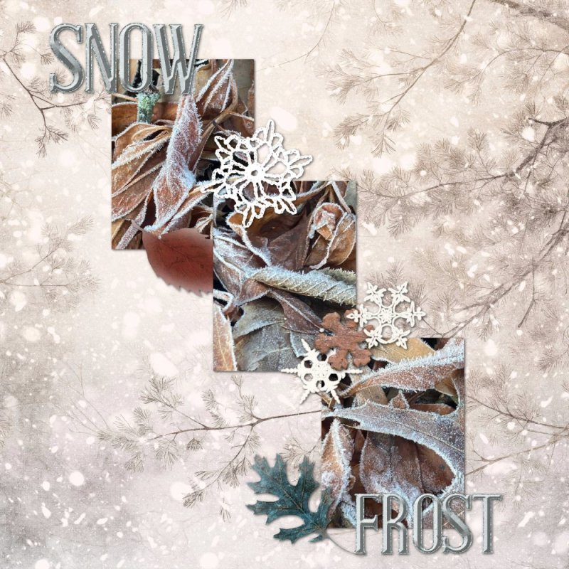 Snow-Frost