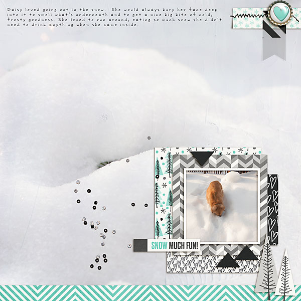 Snow Fun