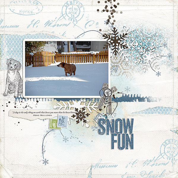 snow fun