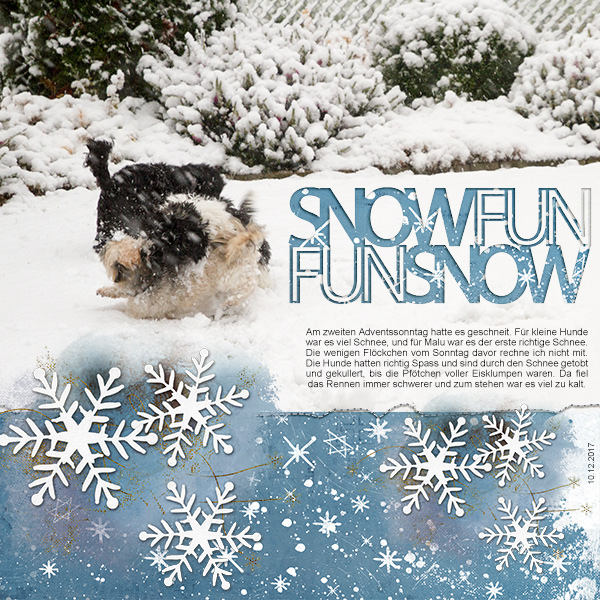 Snow Fun