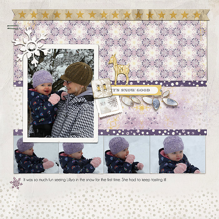 Snow Fun