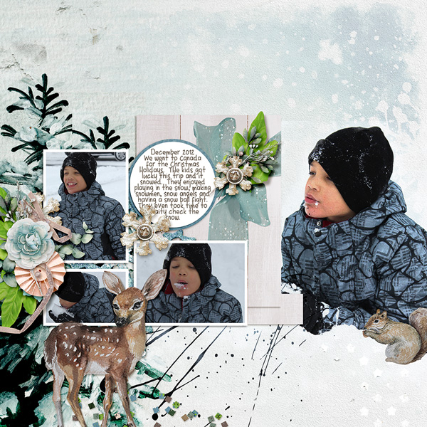 Snow Fun