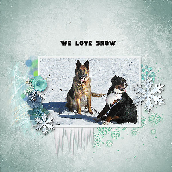 Snow Hounds