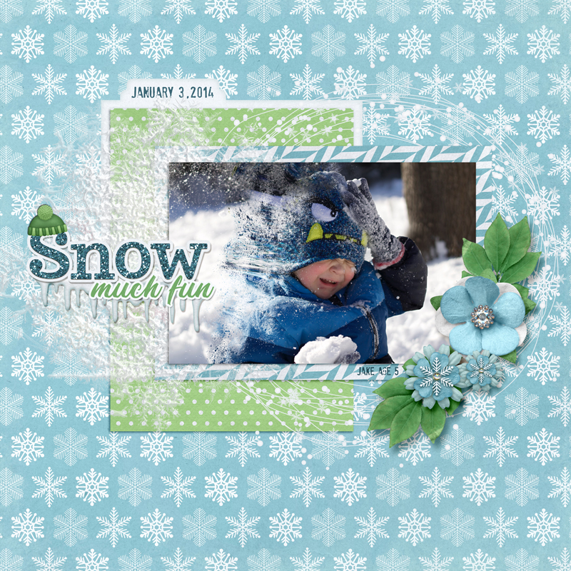 Snow-much-fun