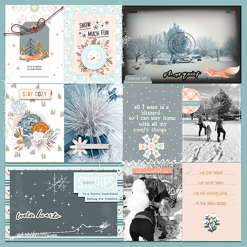 Snow-much-fun