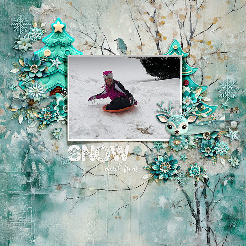 Snow Much Fun