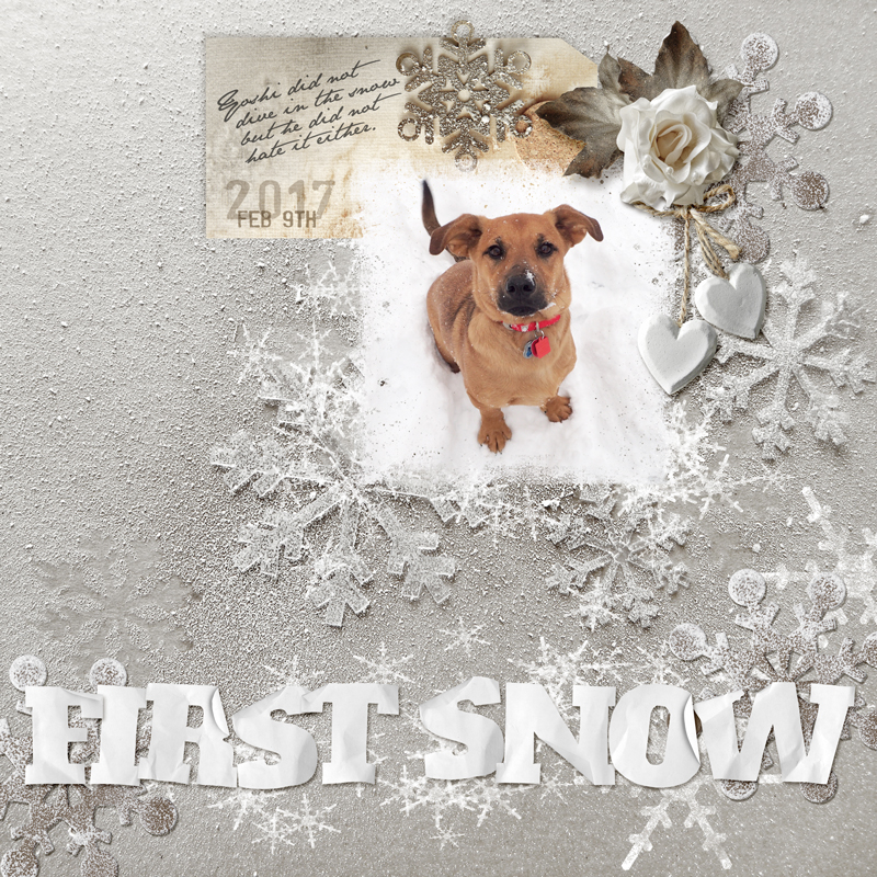 Snow-puppy
