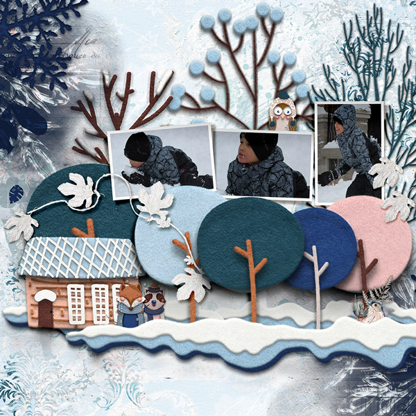 Snow Scene