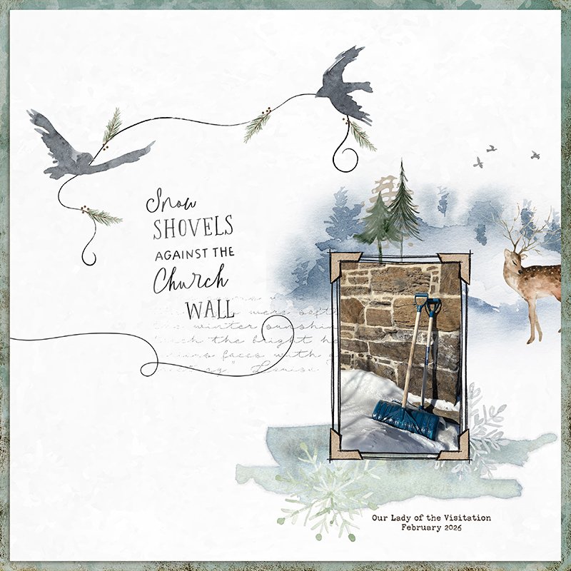 Snow Shovels