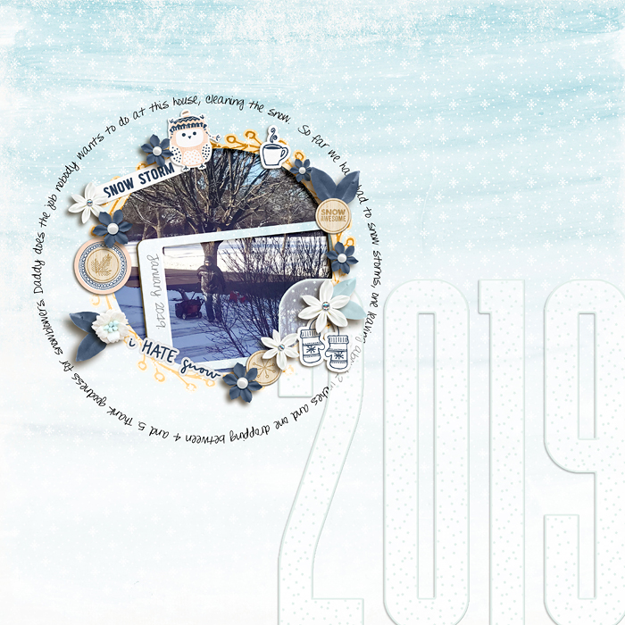 Snow Storm 2019