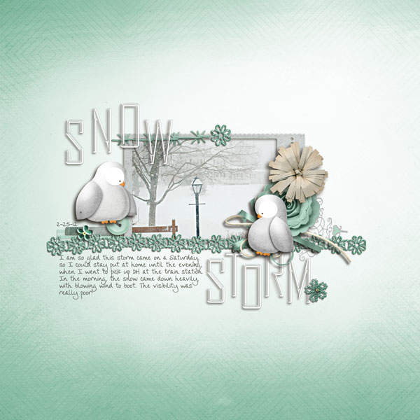 Snow Storm