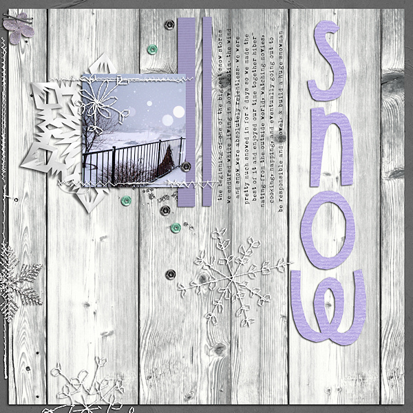 Snow Storm