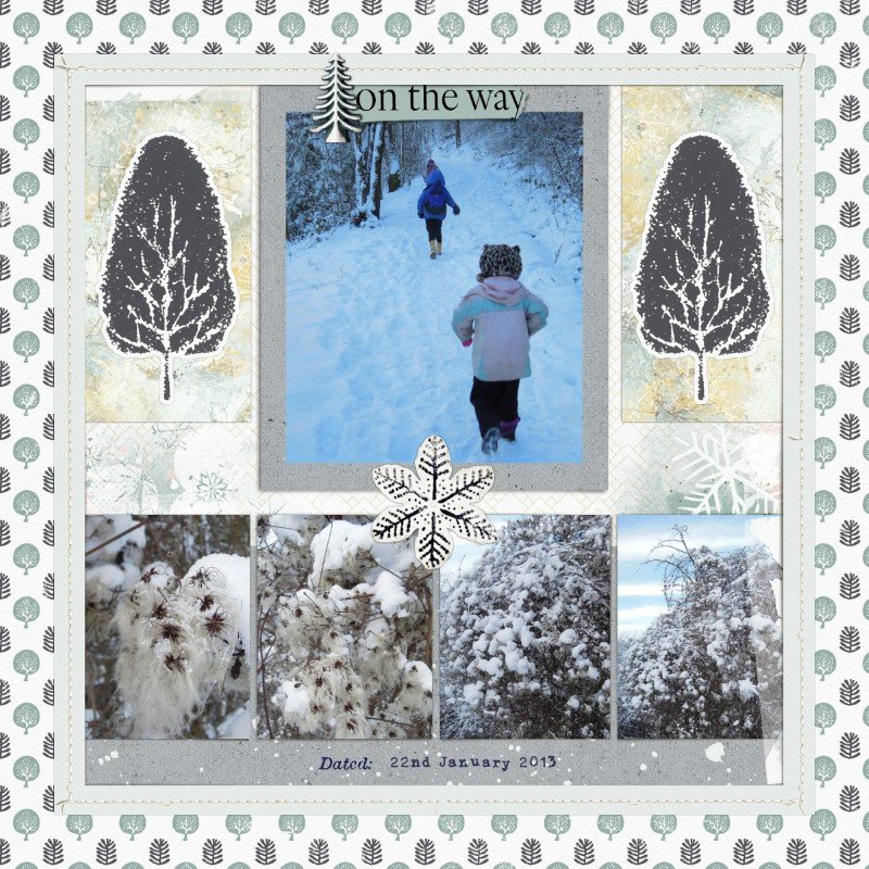 Snow Walk