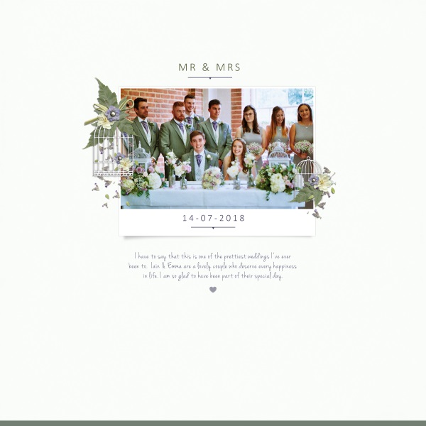 Snow Wedding