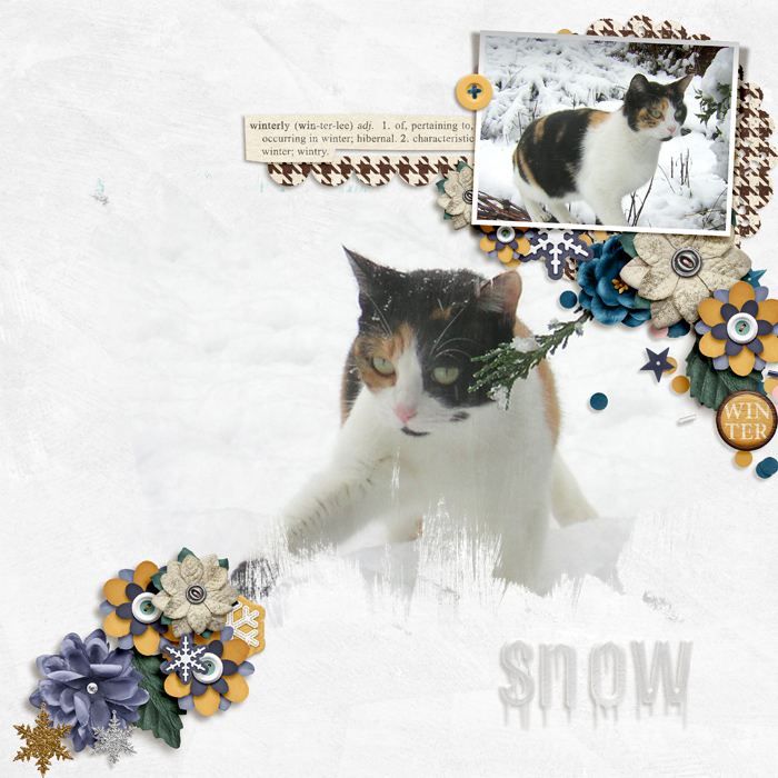 Snow