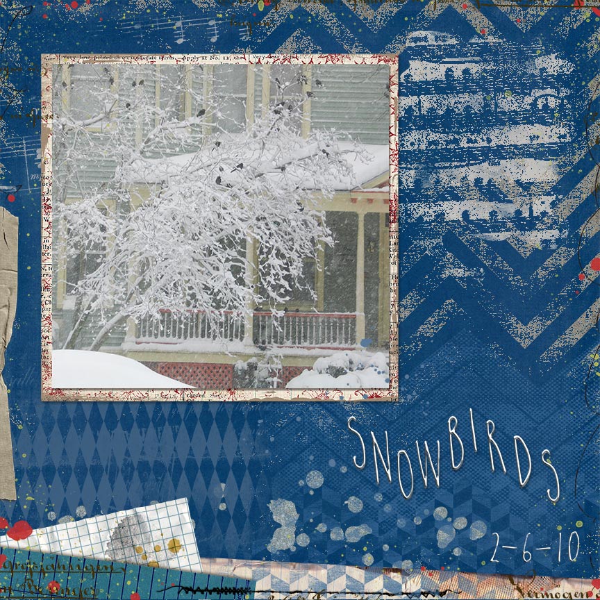 Snowbirds