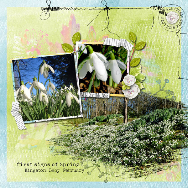 Snowdrops-web