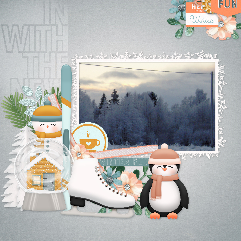 Snowfall