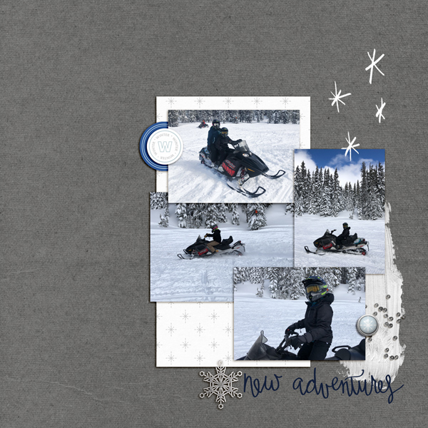Snowmobiling-2