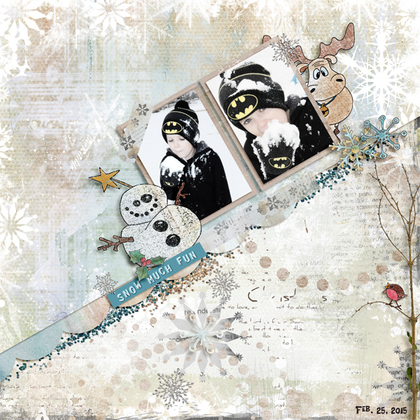 SnowMuchFun