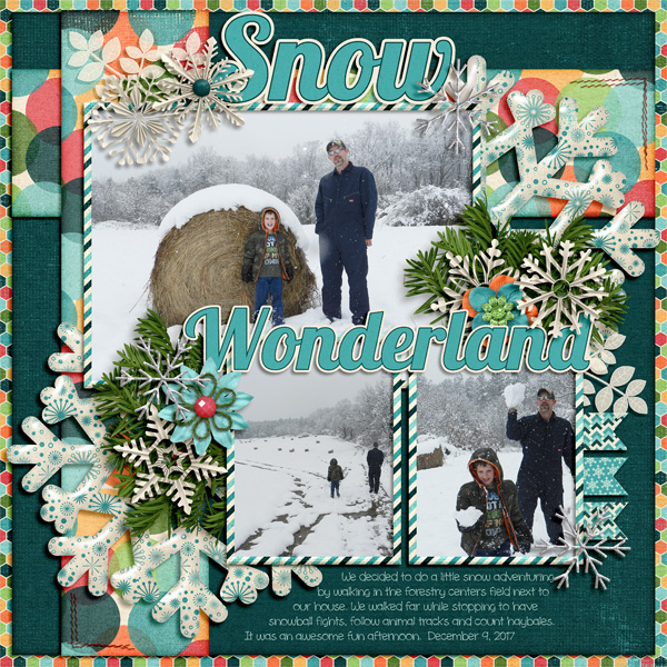 SnowWonderland