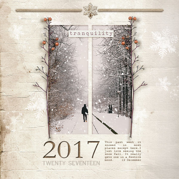 Snowy 2017