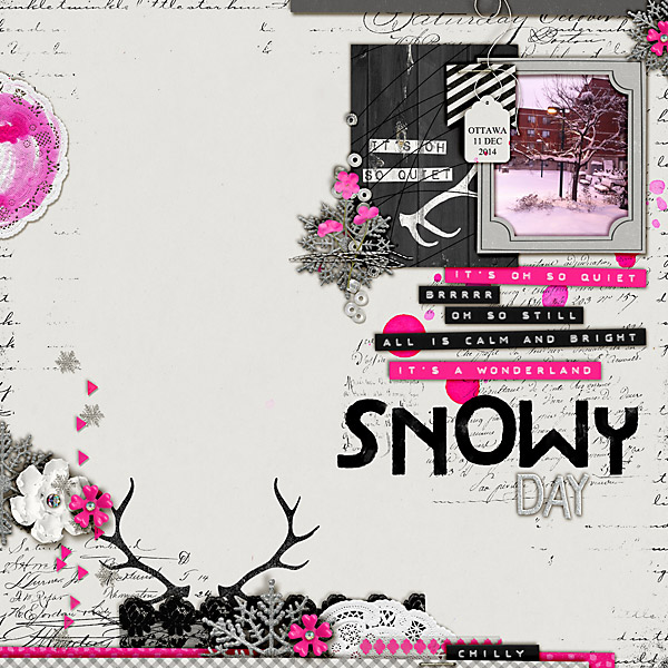 Snowy day