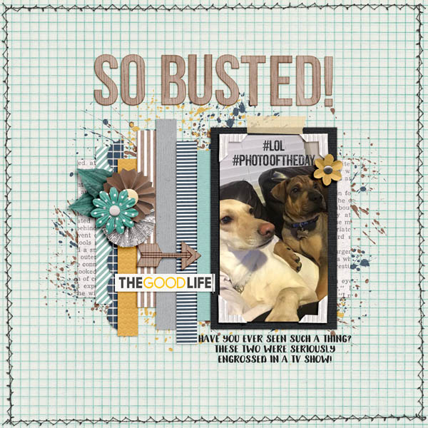 So Busted - July 1 MIS Challenge